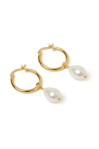 Augusta Gold Hoop & Freshwater Pearl Earrings