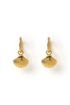 Shelli Gold Earrings