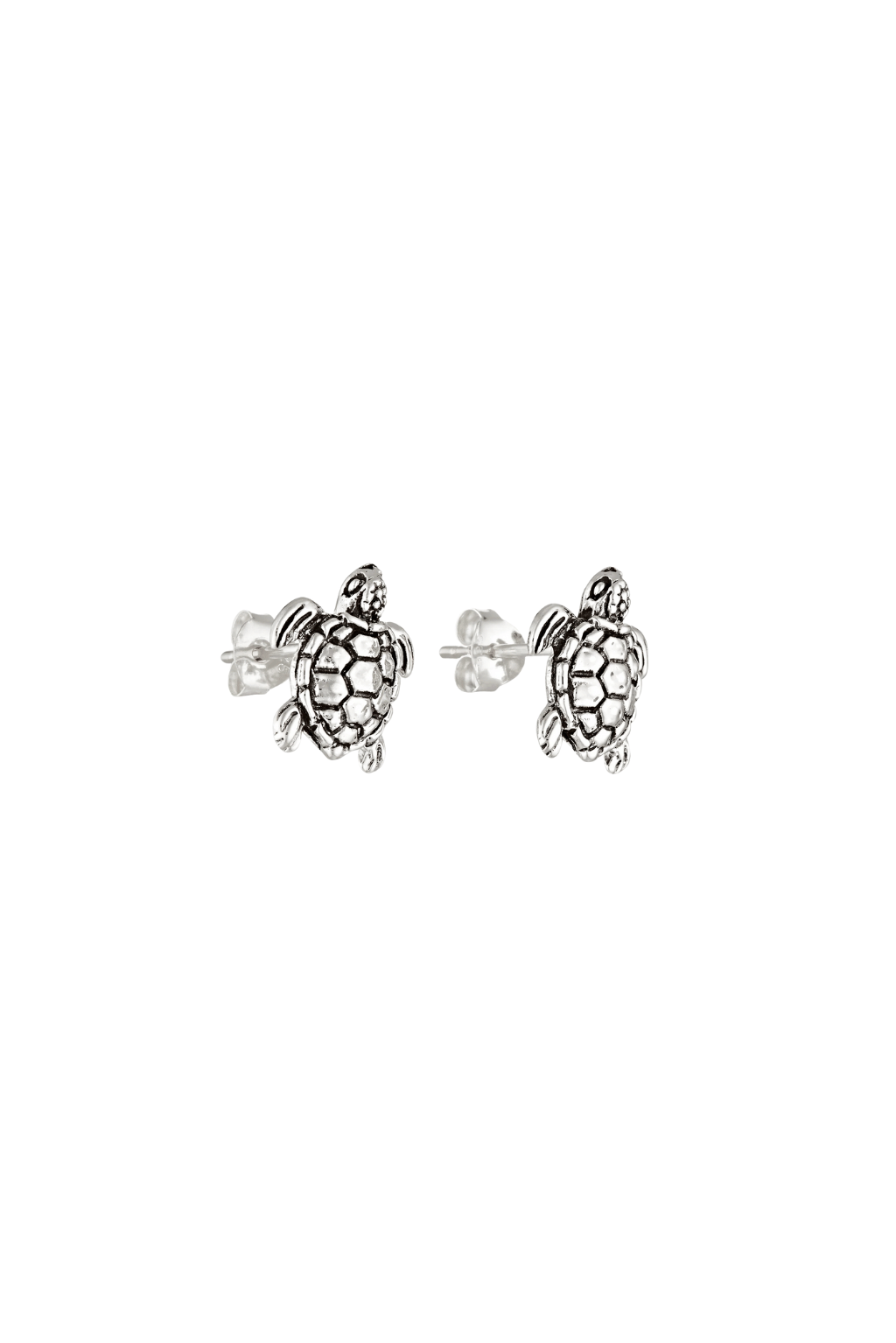 Ocean Turtle Studs