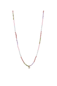 Taylor Necklace - Multi