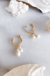 Two Shell Click Hoops - Gold fill