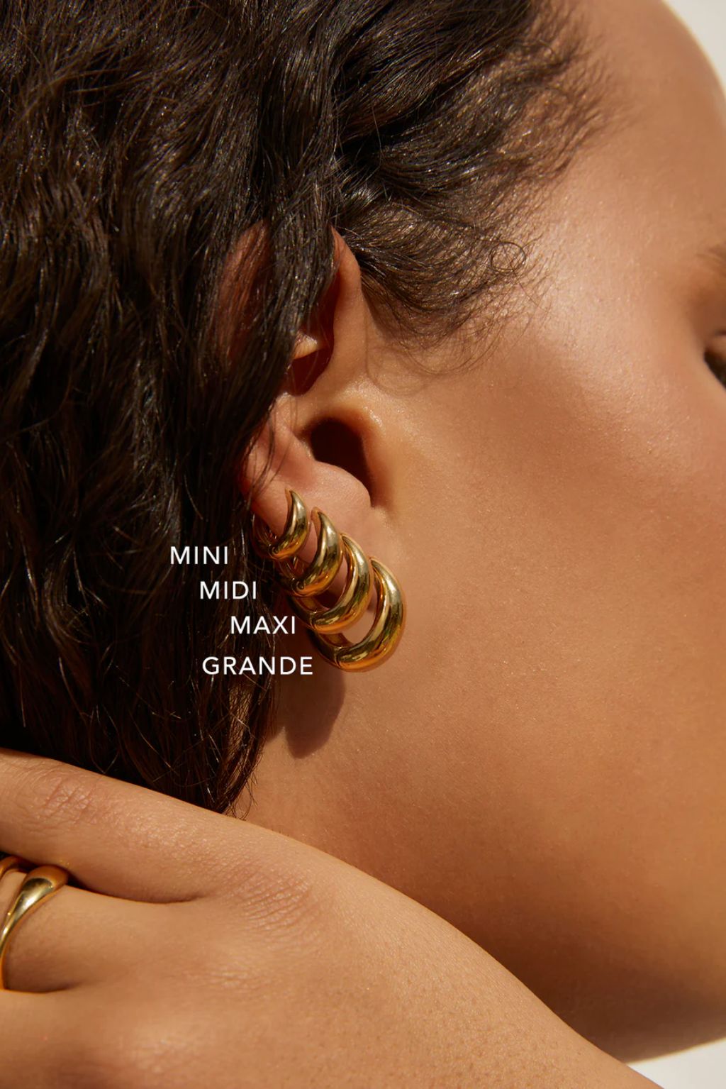 Max Gold Earrings