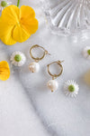 Rounded Pearl Hoops - gold fill